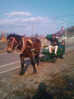 午後から桃ちゃん馬車