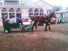 馬車で保育所に