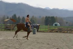 サラの縞馬