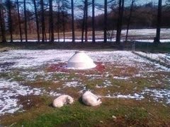 朝はまだ雪が残ってました