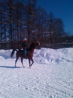 JA☆cowboy