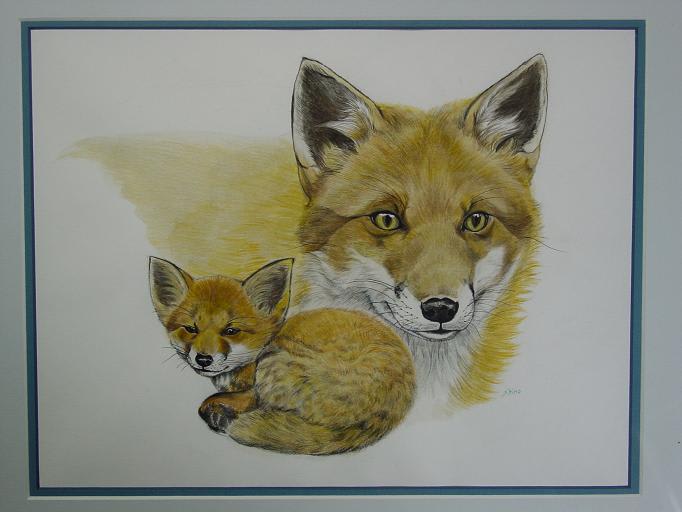 Photo_30