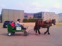 桃ちゃん馬車
