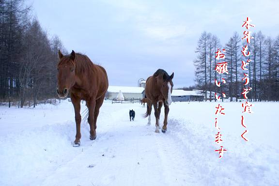 Photo_30