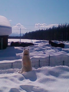 楽しそうだな～
