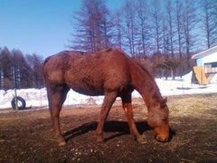 春近し