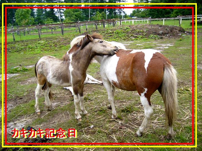Photo_30