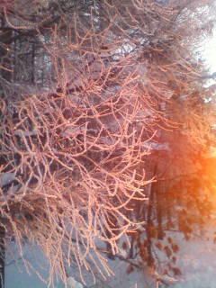 久々－20℃