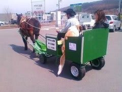 この後ろ姿は？
