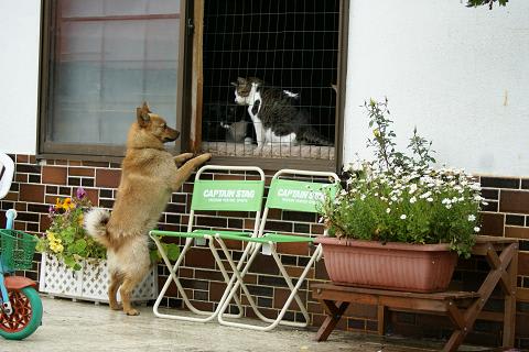 Photo_30